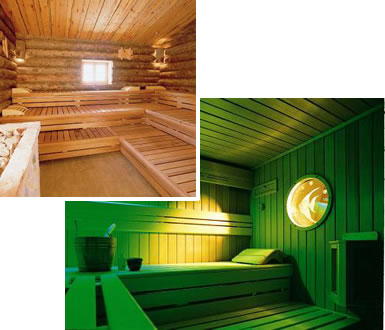 sauna professionnels